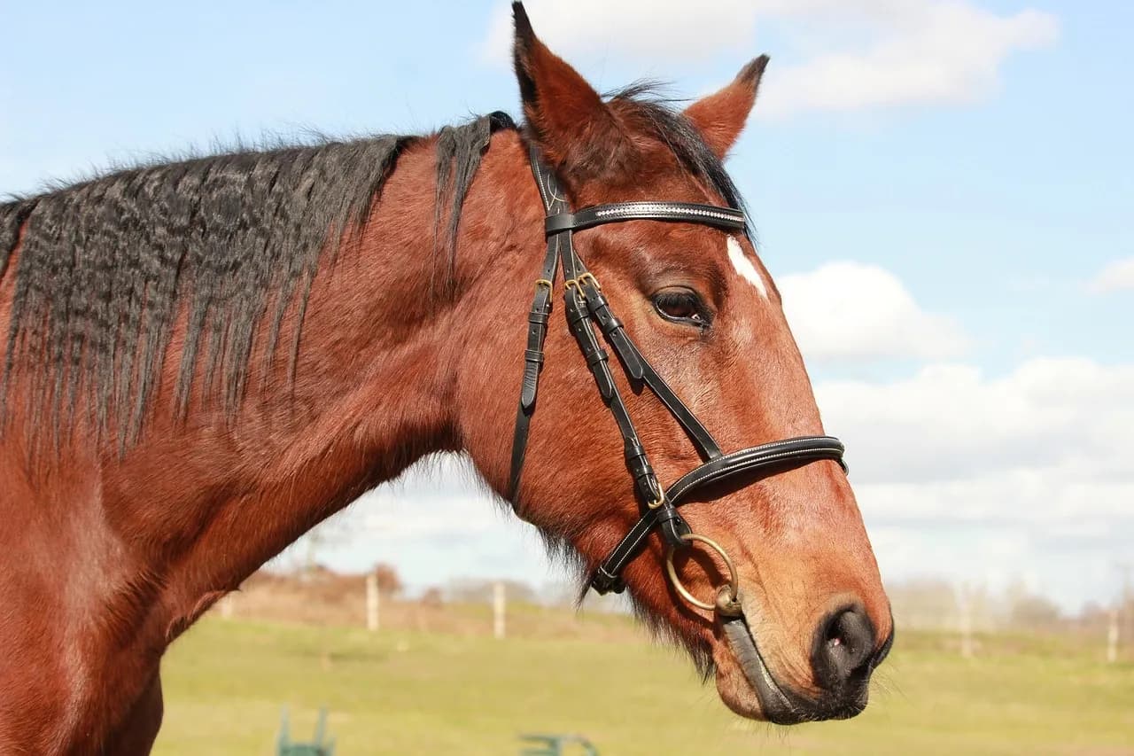 Clean & Maintainable Code